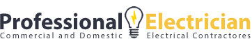 Professional Electrician logo